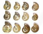 Lot: - Polished Whole Ammonite Fossils - Pieces #116658-2